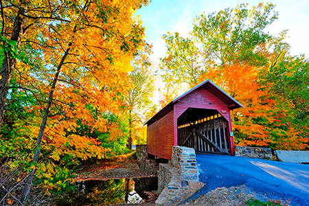 CAR RENTAL IN MARYLAND