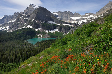 Is it worth it to rent a car in Montana? Find it out!